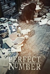 دانلود فیلم Perfect Number سال 2012 - عدد کامل