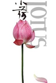 دانلود فیلم Lotus سال 2012 - لوتوس