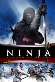 دانلود دوبله فارسی فیلم Ninja: Shadow of a Tear سال 2013 - نینجا: سایه ی یک ترس
