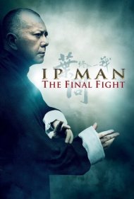 دانلود دوبله فارسی فیلم Ip Man: The Final Fight سال 2013 - ایپ من : مبارزه نهایی
