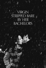 دانلود فیلم Virgin Stripped Bare by Her Bachelors سال 2000 - باکره‌ای که توسط مجردهایش برهنه شد