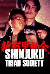 Shinjuku Triad Society 1995