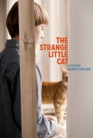 دانلود فیلم The Strange Little Cat سال 2013 - گربه کوچک عجیب