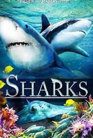 Sharks (in 3D) 2012