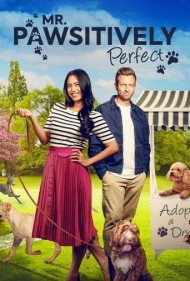 دانلود فیلم Mr. Pawsitively Perfect سال 2023 - آقای فوق‌العاده پشمالو