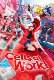 دانلود دوبله فارسی فیلم Cells at Work! سال 2024 - سلول ها در محل کار
