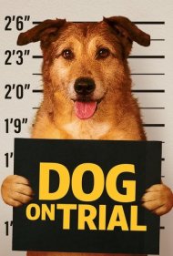 دانلود فیلم Dog on Trial سال 2024 - سگ در دادگاه
