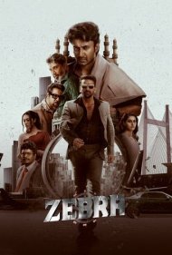 دانلود دوبله فارسی فیلم Zebra سال 2024 - سیاه و سفید