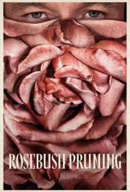Rosebush Pruning