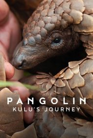 دانلود دوبله فارسی فیلم Pangolin: Kulus Journey سال 2025 - سفر پنگولینی به اسم کولو