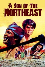 دانلود فیلم A Son of the Northeast سال 1982 - فرزند شمال شرق
