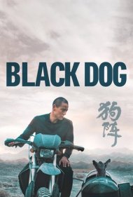 دانلود دوبله فارسی فیلم Black Dog سال 2024 - سگ سیاه