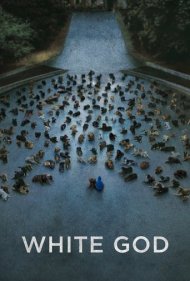 دانلود فیلم White God سال 2014 - خدای سفید