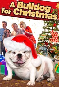 دانلود فیلم A Bulldog for Christmas سال 2013 - یک بولداگ برای کریسمس