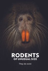 دانلود فیلم Rodents of Unusual Size سال 2017 - جوندگان غولپیکر
