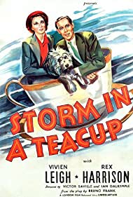 دانلود فیلم Storm in a Teacup سال 1937 - بیهوده نگران شدن