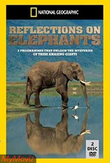 دانلود دوبله فارسی فیلم Reflections on Elephants سال 1994