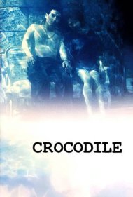 Crocodile 1996