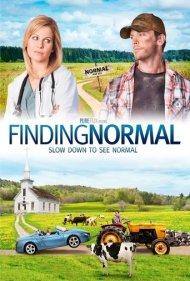 Finding Normal 2013