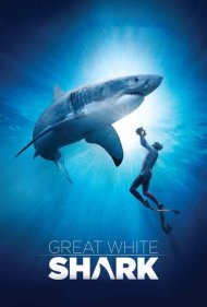 دانلود فیلم Great White Shark سال 2013 - کوسه سفید بزرگ