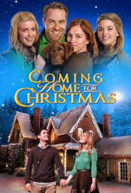 دانلود فیلم Coming Home for Christmas سال 2013 - بازگشت به خانه برای کریسمس