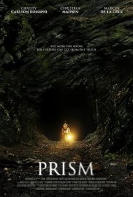 دانلود فیلم Prism سال 2015 - منشور