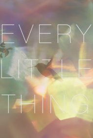 دانلود فیلم Every Little Thing سال 2024 - هر چیز کوچک
