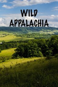دانلود فیلم Wild Appalachia سال 2013 - آپالاچیای وحشی