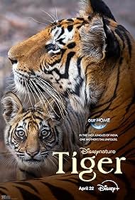 دانلود دوبله فارسی فیلم Tiger سال 2024 - ببر