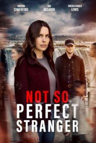دانلود فیلم Not So Perfect Stranger سال 2025 - غریبهای نه چندان کامل