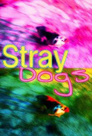 Stray Dogs 2014
