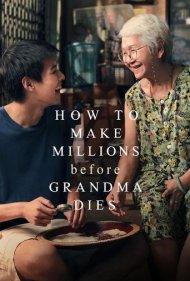 دانلود دوبله فارسی فیلم How to Make Millions Before Grandma Dies سال 2024 - چگونه پیش از اینکه مادربزرگ بمیرد میلیون ها پول در بیاوریم؟