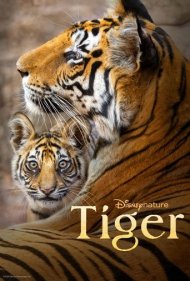 دانلود دوبله فارسی فیلم Tiger سال 2024 - ببر