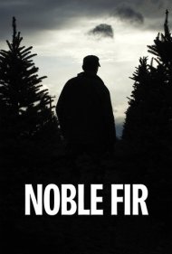 Noble Fir 2014