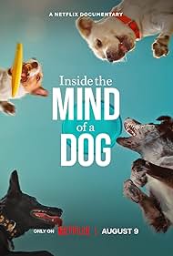 دانلود فیلم Inside the Mind of a Dog سال 2024 - درون ذهن یک سگ