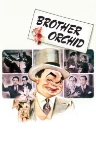 دانلود فیلم Brother Orchid سال 1940 - برادر ارکیده
