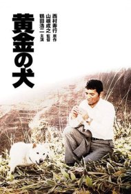 دانلود فیلم Dog of Fortune سال 1979 - سگ خوششانس