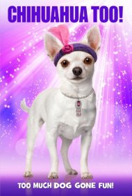 Chihuahua Too! 2013