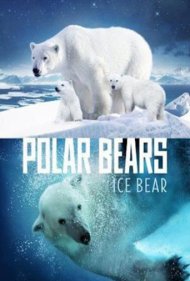 دانلود فیلم Polar Bears: Ice Bear سال 2013 - خرس‌های قطبی: خرس یخی