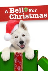 دانلود فیلم A Belle for Christmas سال 2014 - یک سگ برای کریسمس
