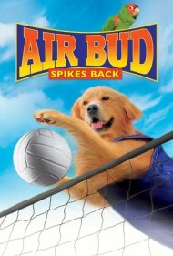 دانلود فیلم Air Bud: Spikes Back سال 2003 - بادبود: بازگشت اسپایک