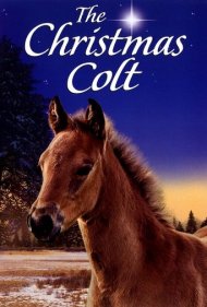 دانلود فیلم The Christmas Colt سال 2013 - کره‌اسب کریسمس