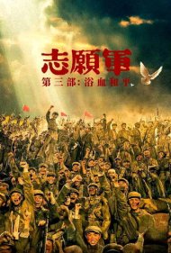 تماشای آنلاین فیلم The Volunteers: Peace at Last - داوطلبان: سرانجام صلح