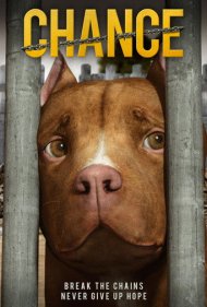 دانلود فیلم Chance سال 2019 - چنس