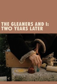 The Gleaners and I: Two Years Later 2002