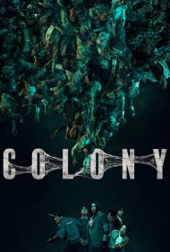 Colony