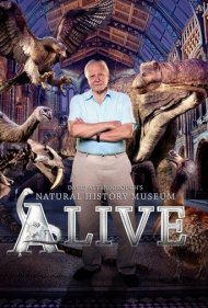 دانلود فیلم David Attenborough's Natural History Museum Alive سال 2014 - موزه تاریخ طبیعی زنده با دیوید اتنبرو