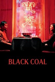 دانلود فیلم Black Coal, Thin Ice سال 2014 - زغال سنگ سیاه، یخ نازک