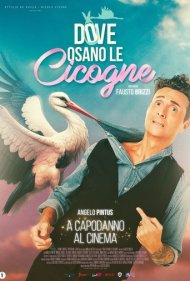 دانلود فیلم Dove osano le cicogne سال 2025 - جایی که لک لک ها جرات می کنند