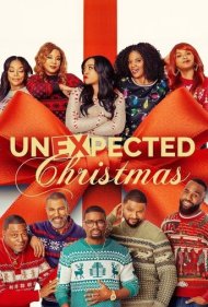 دانلود فیلم Unexpected Christmas سال 2025 - کریسمسِ غیرمنتظره